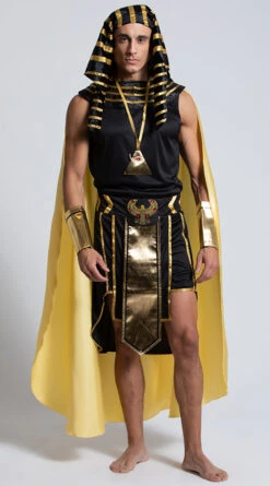 Dreamgirl King Of Egypt Costume