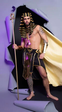 Dreamgirl King Of Egypt Costume -Playboy Store DG 9893 2 EDS YANDY 2021HALLOWEEN