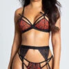 Yandy Whisker Away Bra Set 2 Yandy Whisker Away Bra Set -Playboy Store EY 4144 RED LEOPARD PS10282019 3