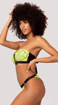 Yandy Snake Charmer Bikini Bottom -Playboy Store EY 4218T EY 4218B YANDY SNAKE BIKINI SWIMSUIT GREEN 40