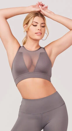 Sheer Gains Sports Bra 22 Sheer Gains Sports Bra -Playboy Store LAS SB013 MESH PANEL SPORTS BRA CHARCOAL 3790 WEBSIZE