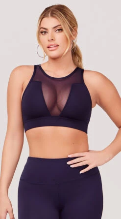 Sheer Gains Sports Bra 16 Sheer Gains Sports Bra -Playboy Store LAS SB013 MESH PANEL SPORTS BRA NAVY 3688 WEBSIZE