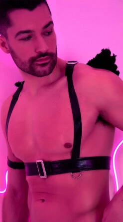 LEG AVENUE Furry Angel Wing Harness 12 LEG AVENUE Furry Angel Wing Harness -Playboy Store LA 2764 2 2021VDAY accessories