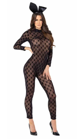 Playboy Risque Rabbit Costume