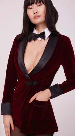 Playboy Smoke Lounge Madam Costume 10 Playboy Smoke Lounge Madam Costume -Playboy Store PB PB141 2654 Yandy PS08102022