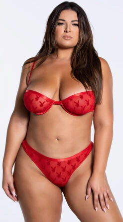 Playboy Plus Size Some Bunny Special Bra Set