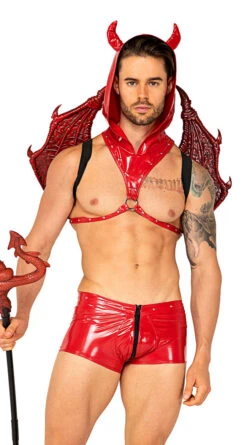 Roma Men's Lucifer's Desire Costume