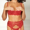 Exquisite Lace Garter Belt 2 Exquisite Lace Garter Belt -Playboy Store SO 26006 Red 2021APR31193
