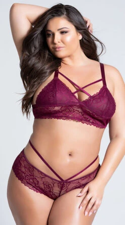 Plus Size Lace Lattice Bikini Panty
