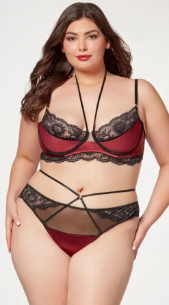 Plus Size Opulent Satin And Lace Bra Set