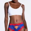 Superman Hipster Panty 1 Superman Hipster Panty -Playboy Store XG WB1022 21 SUPER 2 YANDY PS10142021
